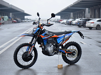 Мотоцикл эндуро Regulmoto Norden PR300  21/18 ПТС